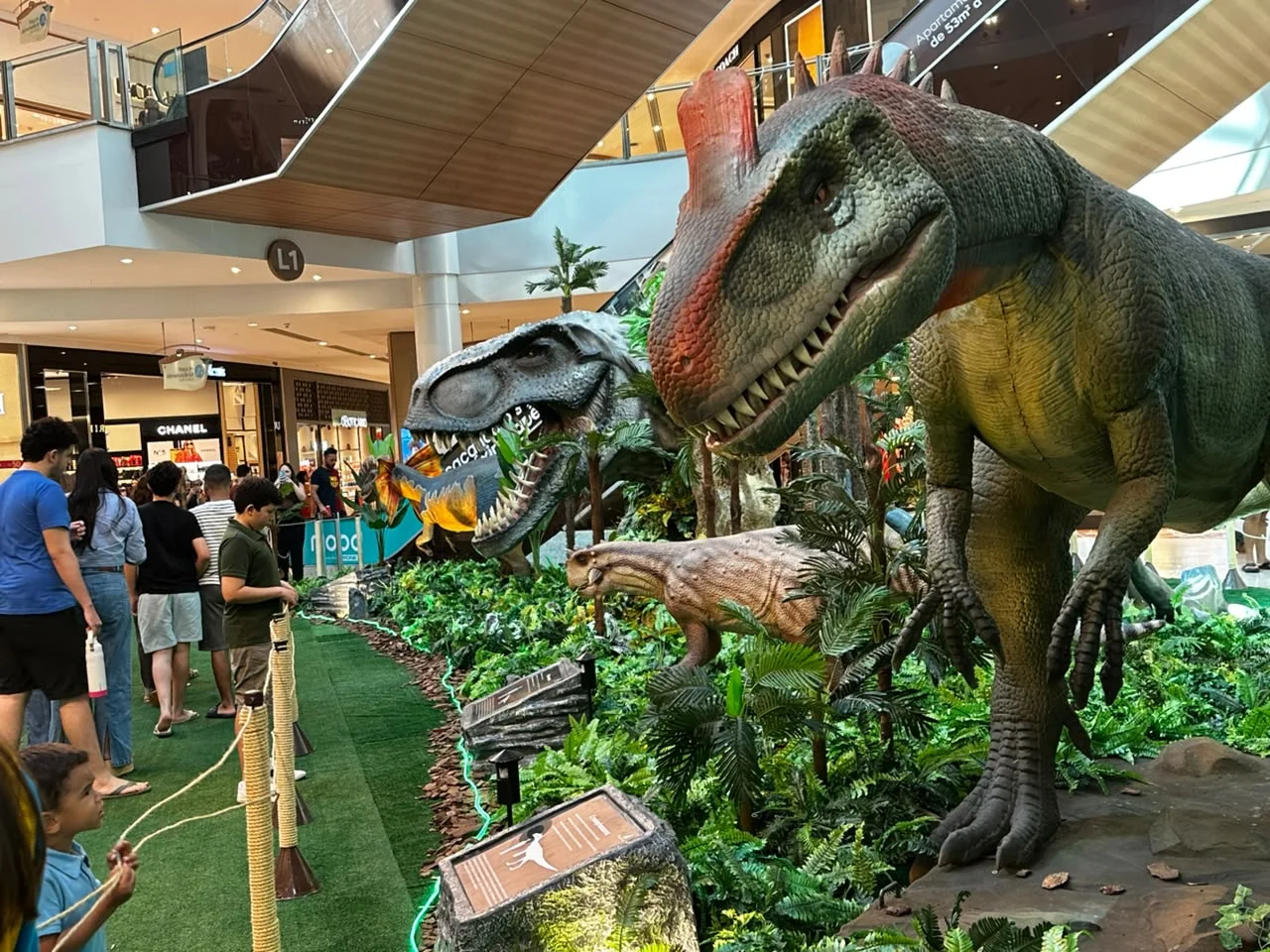 Faça seu ensaio exclusivo com os dinos